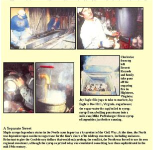 The Differences Between Northern and Southern Maple Syrup Makers Image
